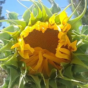 Meet your Posher, Bonnie